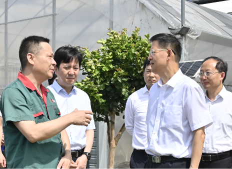 让小菜篮拎出满满的幸福感 | 市人大常委会视察全市“菜篮子”保供体系建设情况